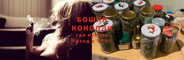 гидра Няндома
