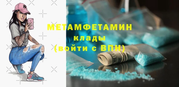 гидра Няндома