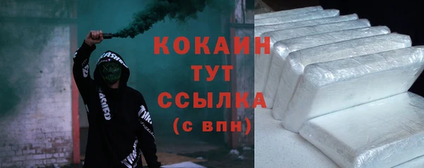 гидра Няндома