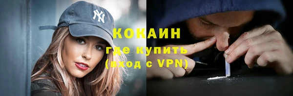 гидра Няндома