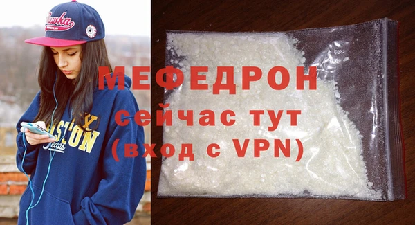 гидра Няндома
