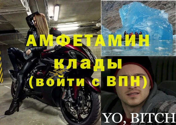 гидра Няндома