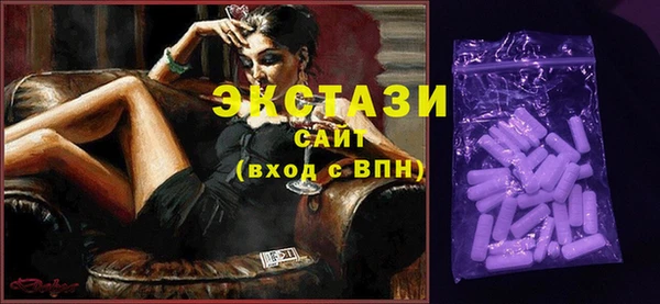 гидра Няндома