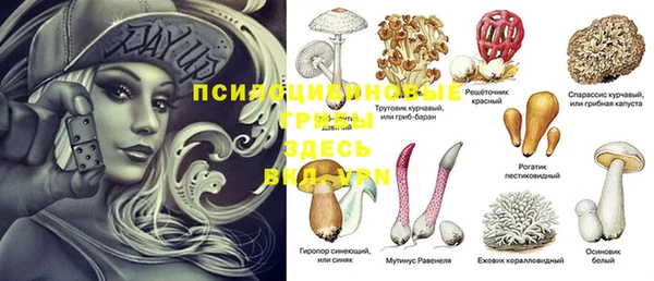 гидра Няндома