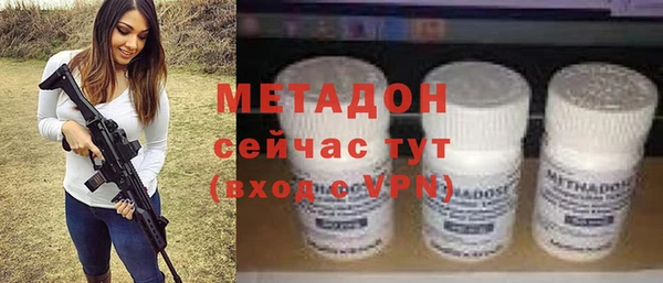 гидра Няндома