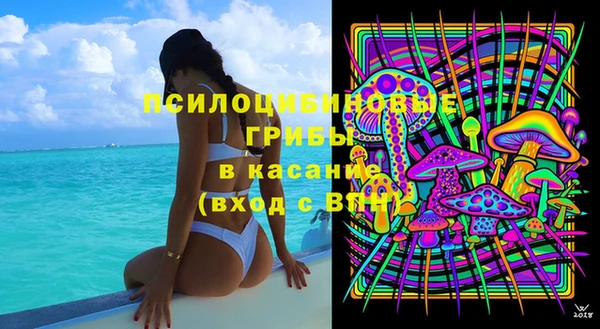 мдпв Нязепетровск