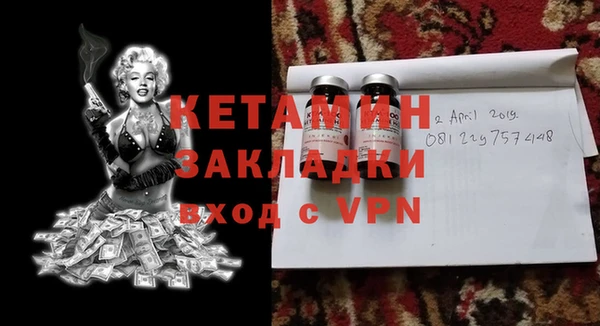 гидра Няндома