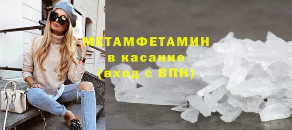 гидра Няндома